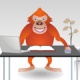 Office Animals