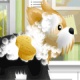 Pet Grooming Studio
