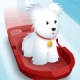 Pet Sledding