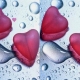 Crazy Love 5 Differences